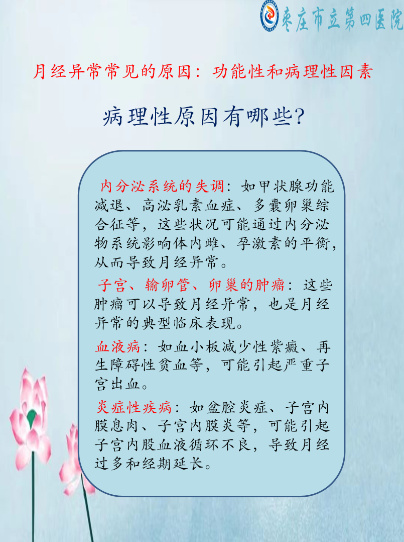 寰俊鍥剧墖_20241213093456.png